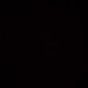 Meet your Posher, Caprice